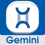 Gemini Commercial Security App