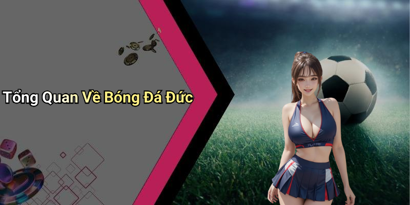Tổng Quan Về Bóng Đá Đức
