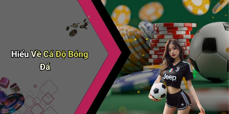 Cá Độ Bóng Đá: Tìm Hiểu Thế Giới Này
