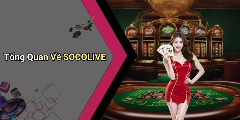 SOCOLIVE: Trải Nghiệm Giải Trí Trực Tuyến Hoàn Hảo